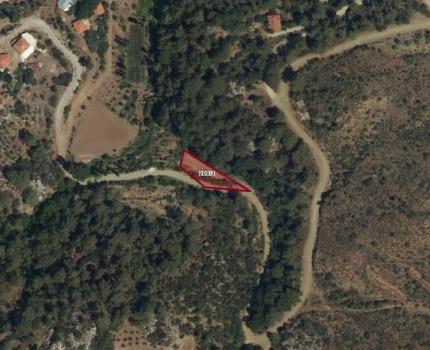 KIZILKAYA DALAMAN